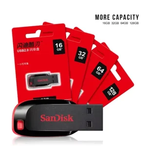 SanDisk USB